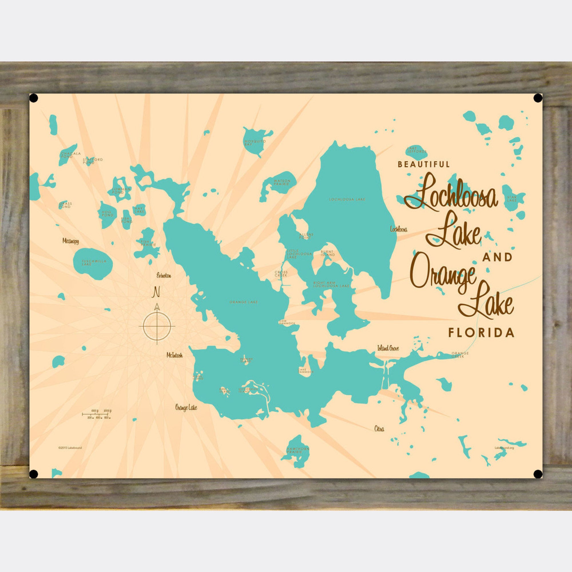 Lochloosa & Orange Lakes Florida, Wood-Mounted Metal Sign Map Art