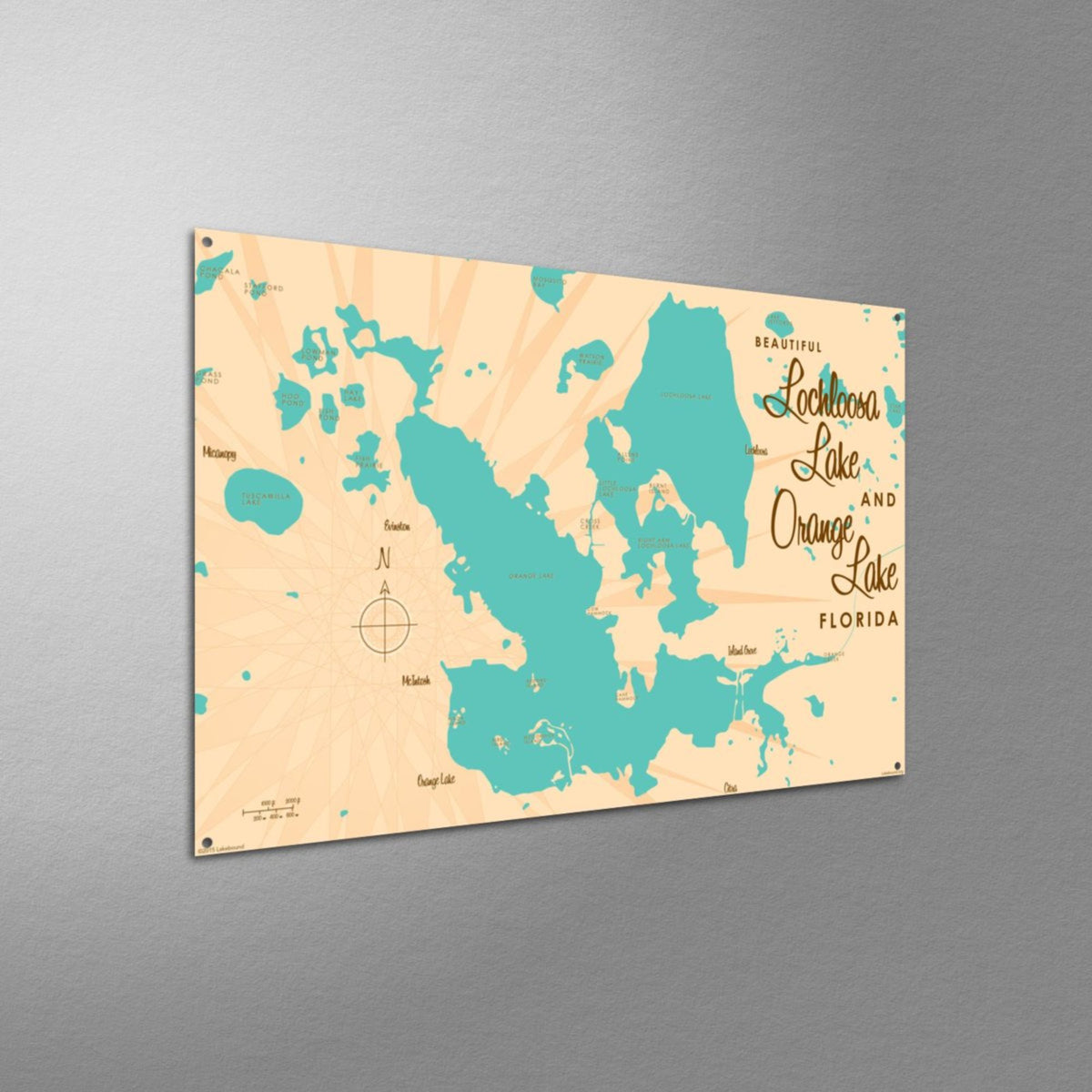 Lochloosa & Orange Lakes Florida, Metal Sign Map Art Lakebound®