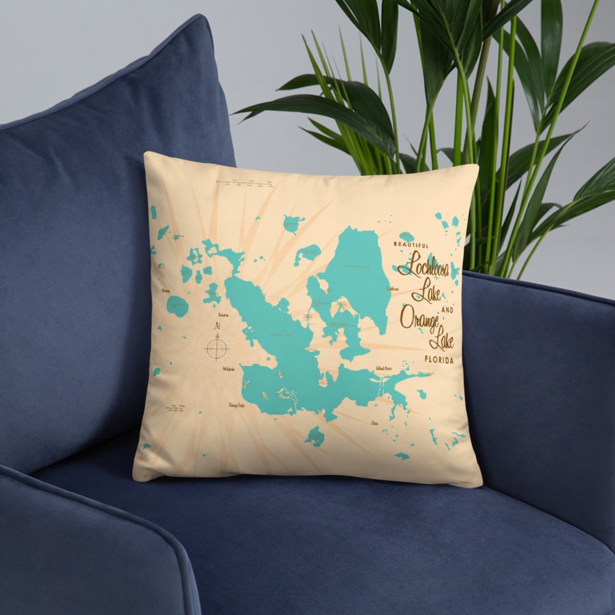 Lochloosa & Orange Lakes Florida Pillow