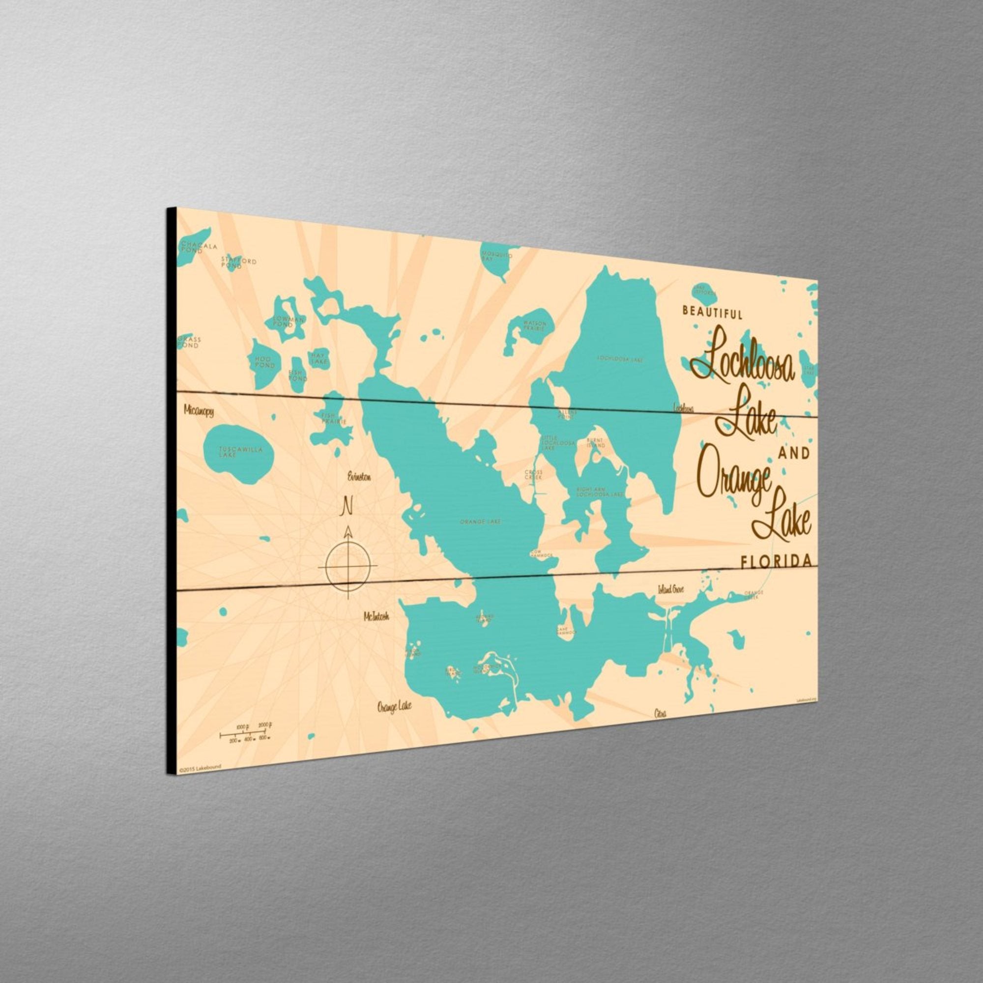 Lochloosa & Orange Lakes Florida, Wood Sign Map Art