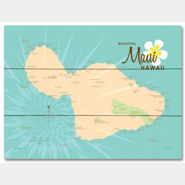 Maui, Wood Sign Map Art